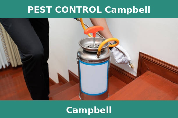 PEST CONTROL Campbell